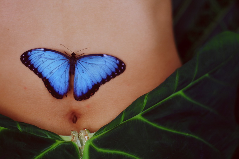 Piercing And Butterfly Tattoo On Belly Button